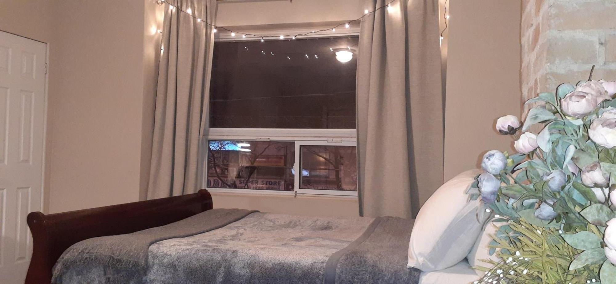 Downtown Retreat-spacious With Shared Kitchen & Bath *